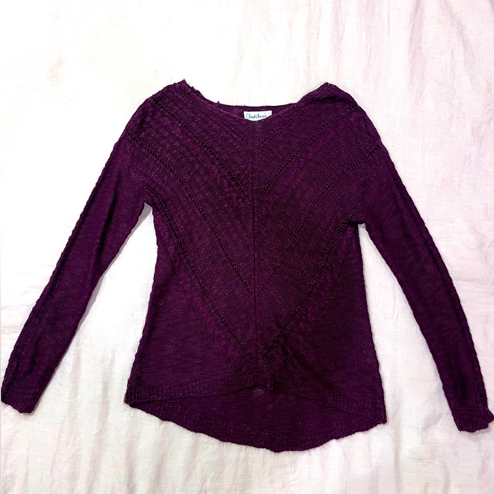 Cloud Chaser purple purple sweater